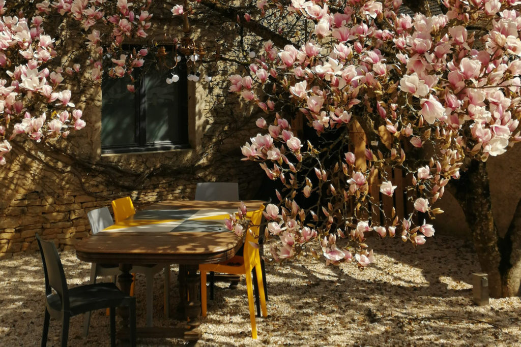 espace repas à l'ombre du magnolia